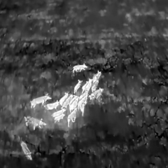 DroneDirect Webshop
